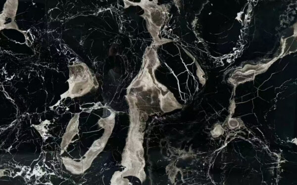 宝格丽香槟